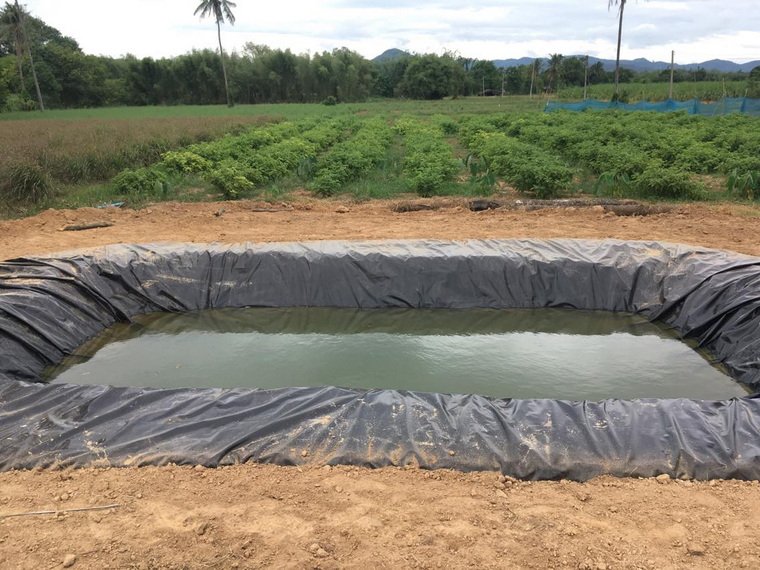 บ่อพัก กักเก็บน้ำ เพื่อใช้งานภายในไร่ จากจังหวัด ราชบุรี บ่อพัก กักเก็บน้ำ เพื่อใช้งานภายในไร่ จากจังหวัด ราชบุรี