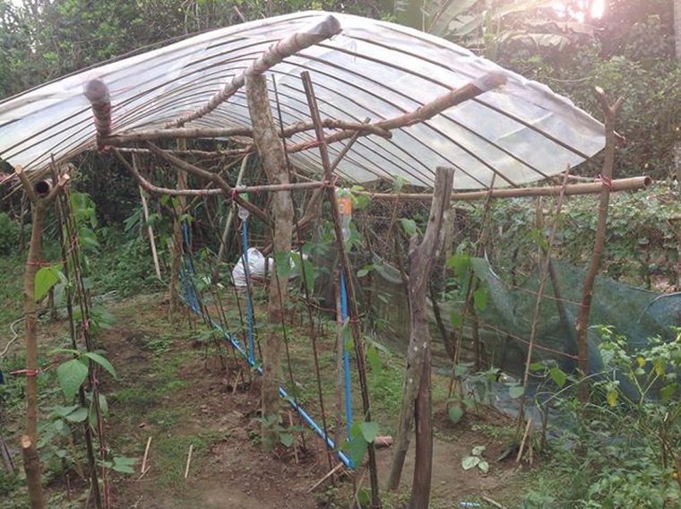 พลาสติกใสขุ่น ใส่กับโครงสร้างไม้ จ.นราธิวาส พลาสติกใสขุ่น ใส่กับโครงสร้างไม้ จ.นราธิวาส