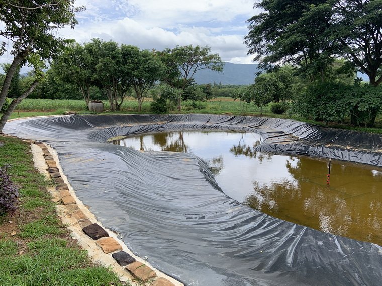 ปูบ่อน้ำจัดสวน รูปทรงฟรีฟอร์ม ด้วยพลาสติก LLDPE ปูบ่อน้ำจัดสวน รูปทรงฟรีฟอร์ม ด้วยพลาสติก LLDPE