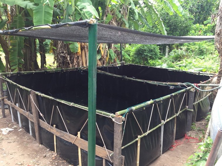 บ่อพลาสติกขึ้นทรงสำเร็จรูป ขนาด 2 x 3 x 0.8 เมตร บ่อพลาสติกขึ้นทรงสำเร็จรูป ขนาด 2 x 3 x 0.8 เมตร