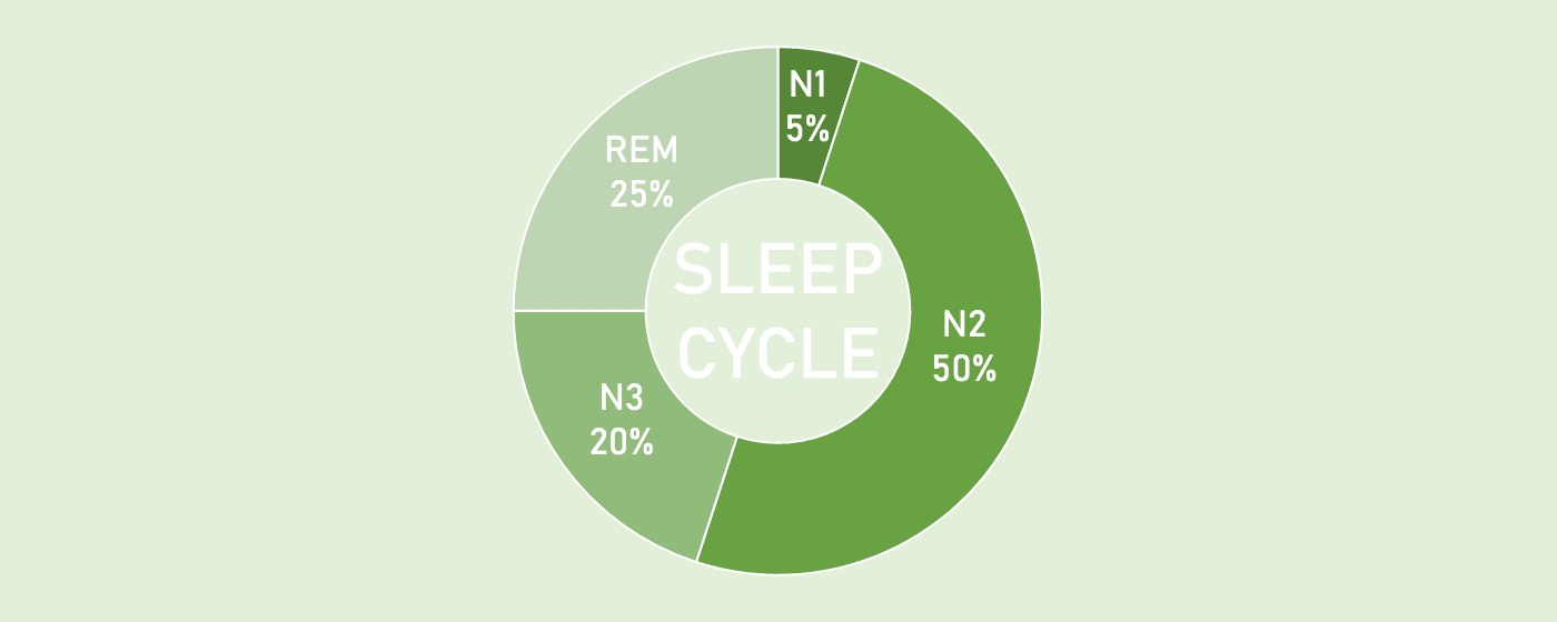 เบื้องหลังการนอนหลับ: ความสำคัญของการหลับแบบ REM