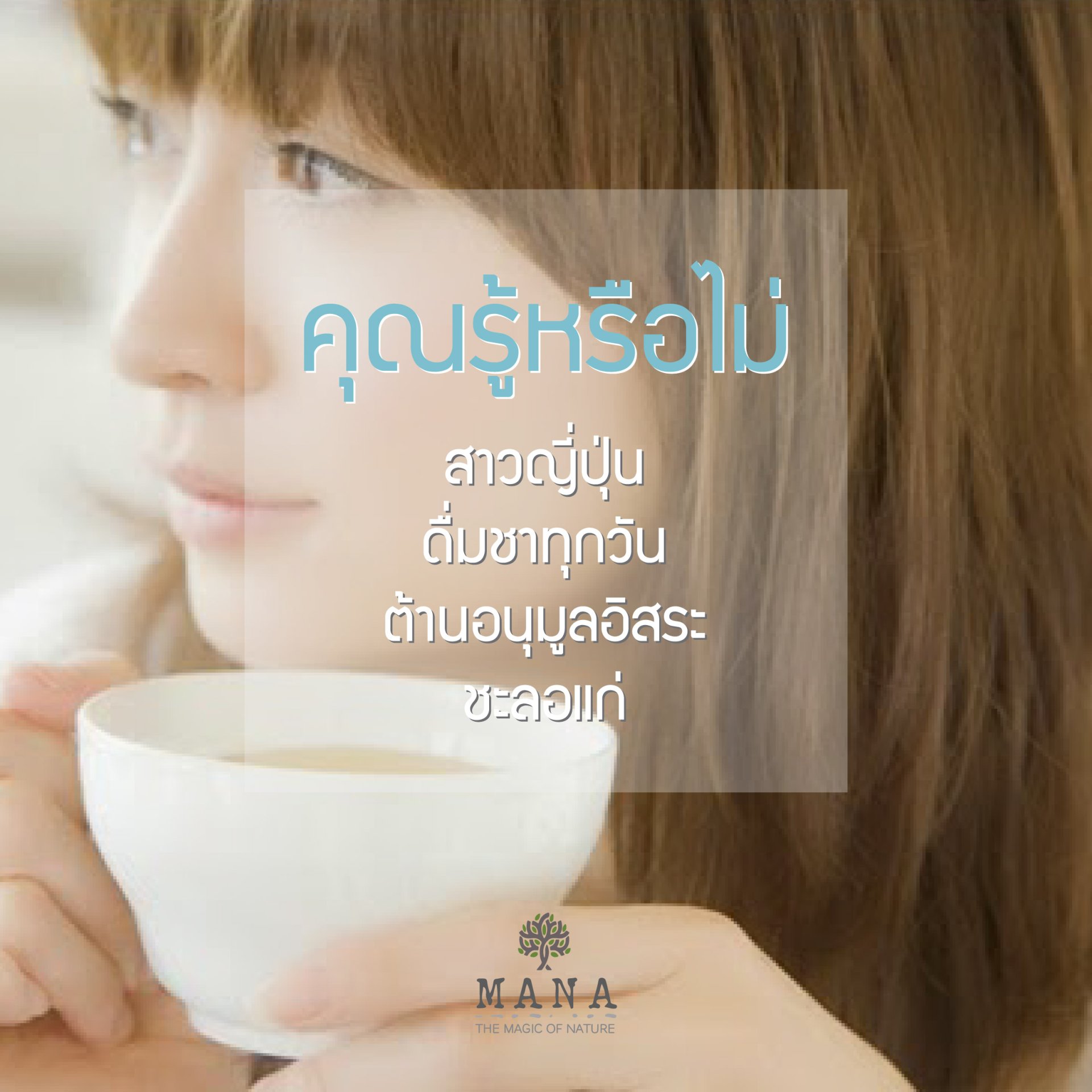 คุณรู้หรือไม่? สาวญี่ปุ่นดื่มชาทุกวัน ต้านอนุมูลอิสระ ชะลอแก่ คุณรู้หรือไม่? สาวญี่ปุ่นดื่มชาทุกวัน ต้านอนุมูลอิสระ ชะลอแก่