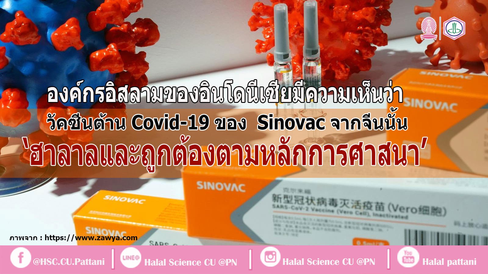 องค์กรอิสลามของอินโดนีเซียมีความเห็นว่า วัคซีนต้าน Covid-19 จาก Sinovac ของจีน นั้น