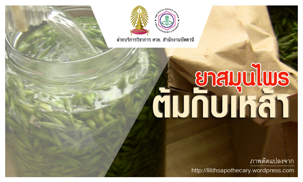 ยาสมุนไพรต้มกับเหล้า (29/8/62) ยาสมุนไพรต้มกับเหล้า (29/8/62)