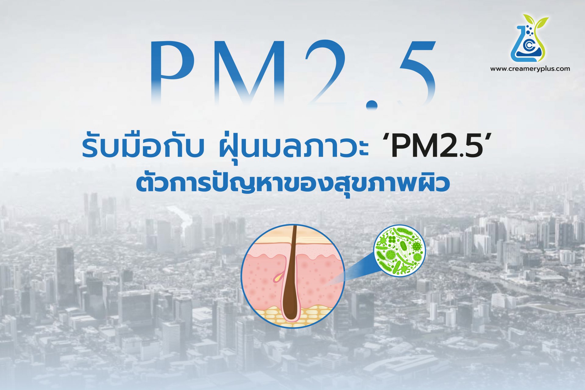 PM2.5 air pollution, the cause of skin health problems