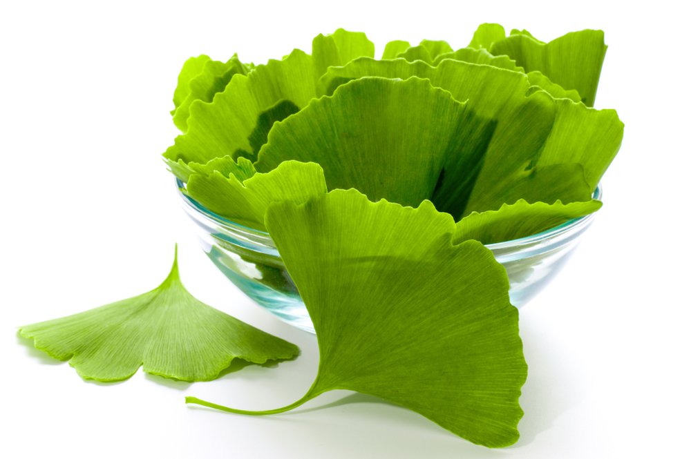 Ginkgo extract Ginkgo extract