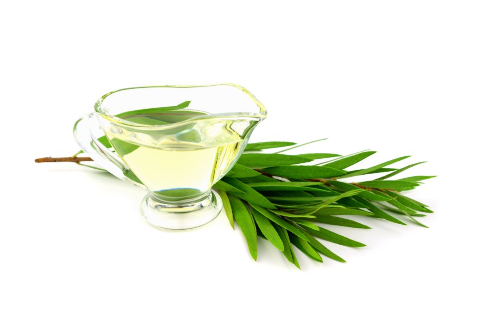 TEA TREE OIL TEA TREE OIL