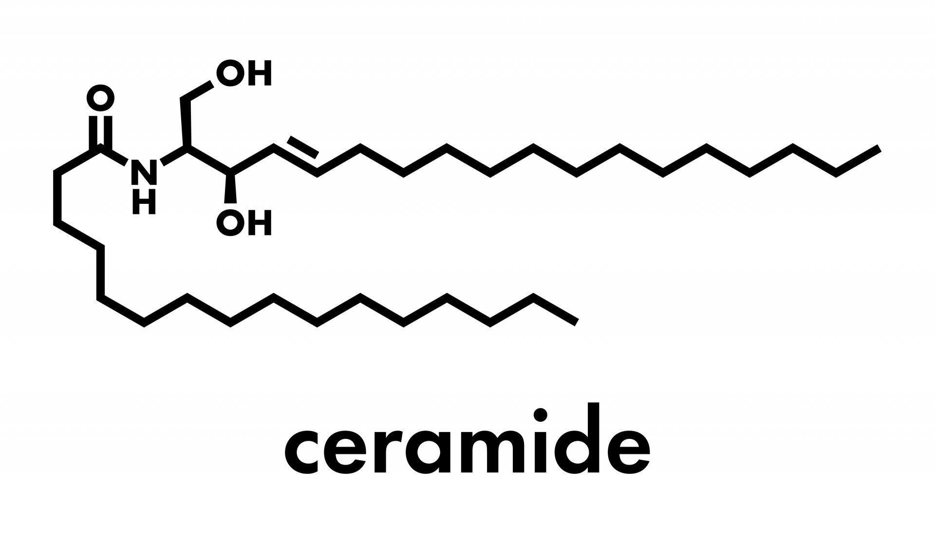 เซราไมด์ เซราไมด์