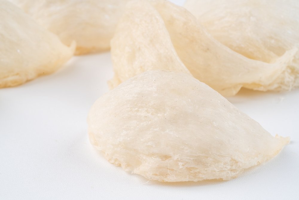 รังนก รังนก