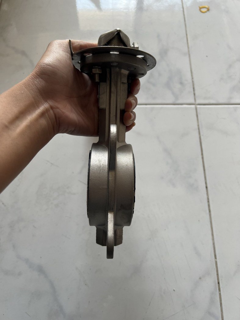 DN50 Butterfly Valve wafer type stainless 316