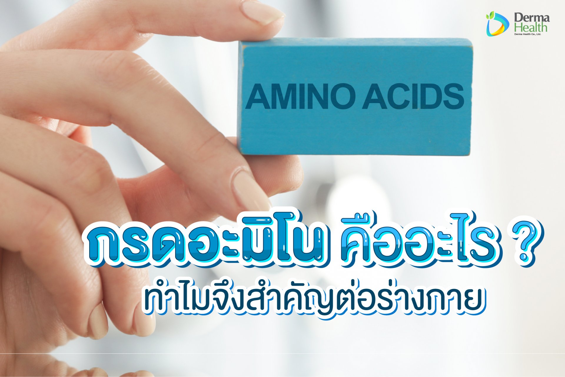 กรดอะมิโน มีกี่ชนิด มีความสำคัญอย่างไรต่อร่างกาย