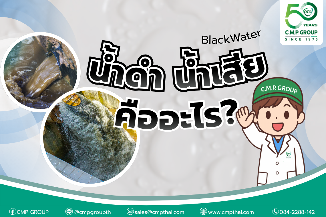 น้ำดำ (Blackwater) คืออะไร? และต้องจัดการอย่างไร ให้ถูกวิธี