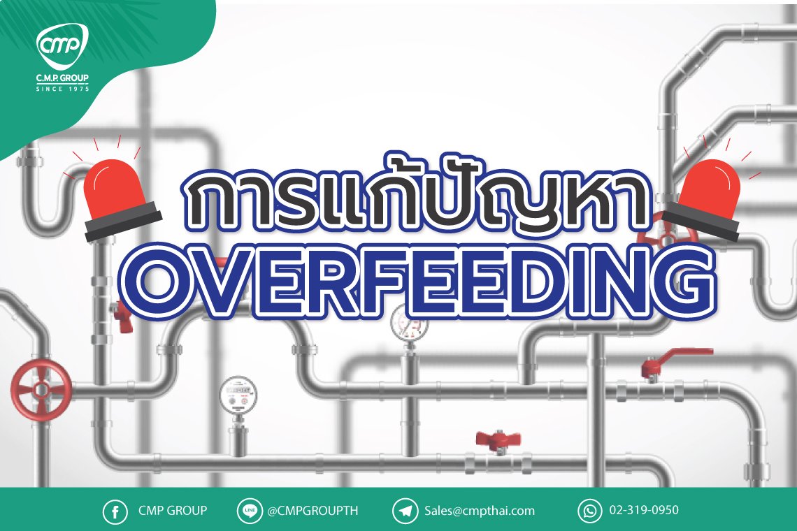 การแก้ปัญหา Overfeeding - TACMINA การแก้ปัญหา Overfeeding - TACMINA