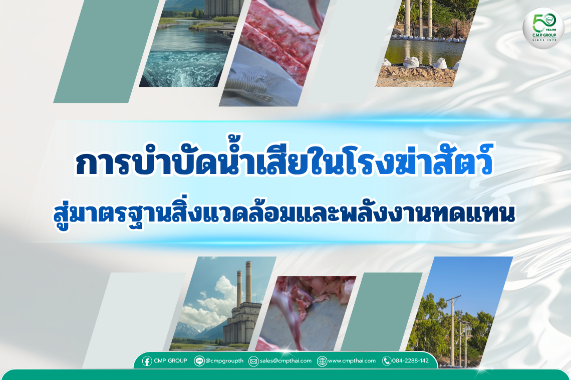 ระบบบำบัดน้ำเสียในโรงฆ่าสัตว์ คืออะไร? 3 ขั้นตอนสำคัญที่ต้องรู้ตามมาตรฐานสิ่งแวดล้อม