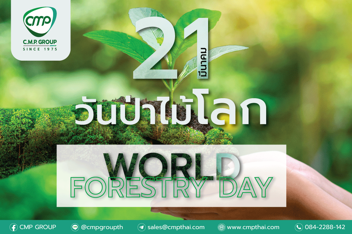 21 มีนาคม 2567 วันป่าไม้โลก  (World forestry day)