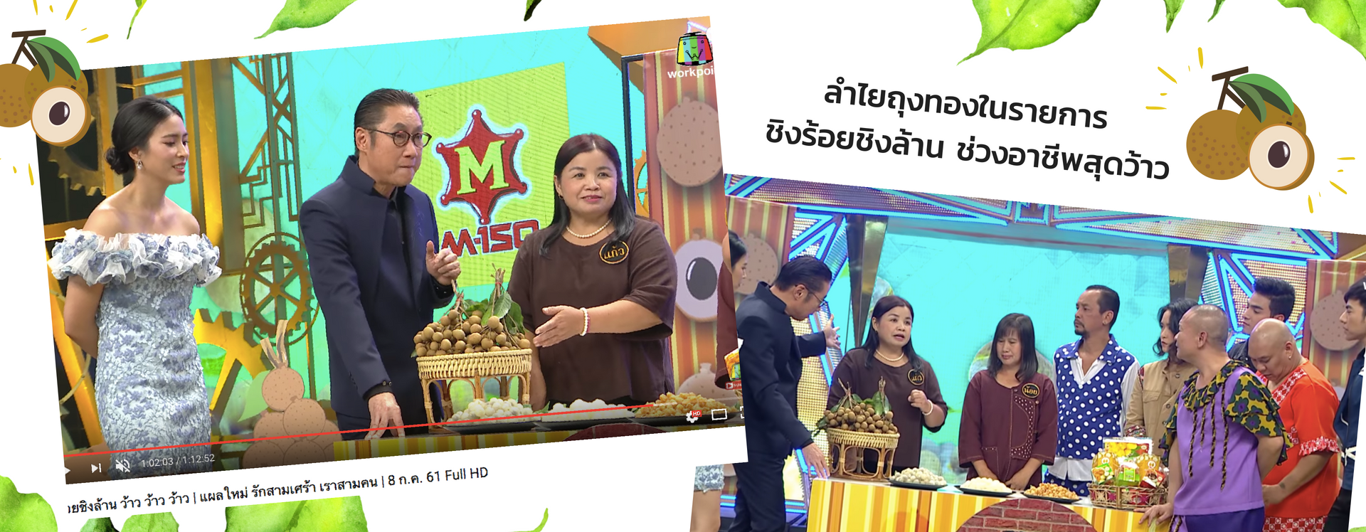 ลำไยถุงทองออกรายการ "ชิงร้อยชิงล้าน" ลำไยถุงทองออกรายการ "ชิงร้อยชิงล้าน"