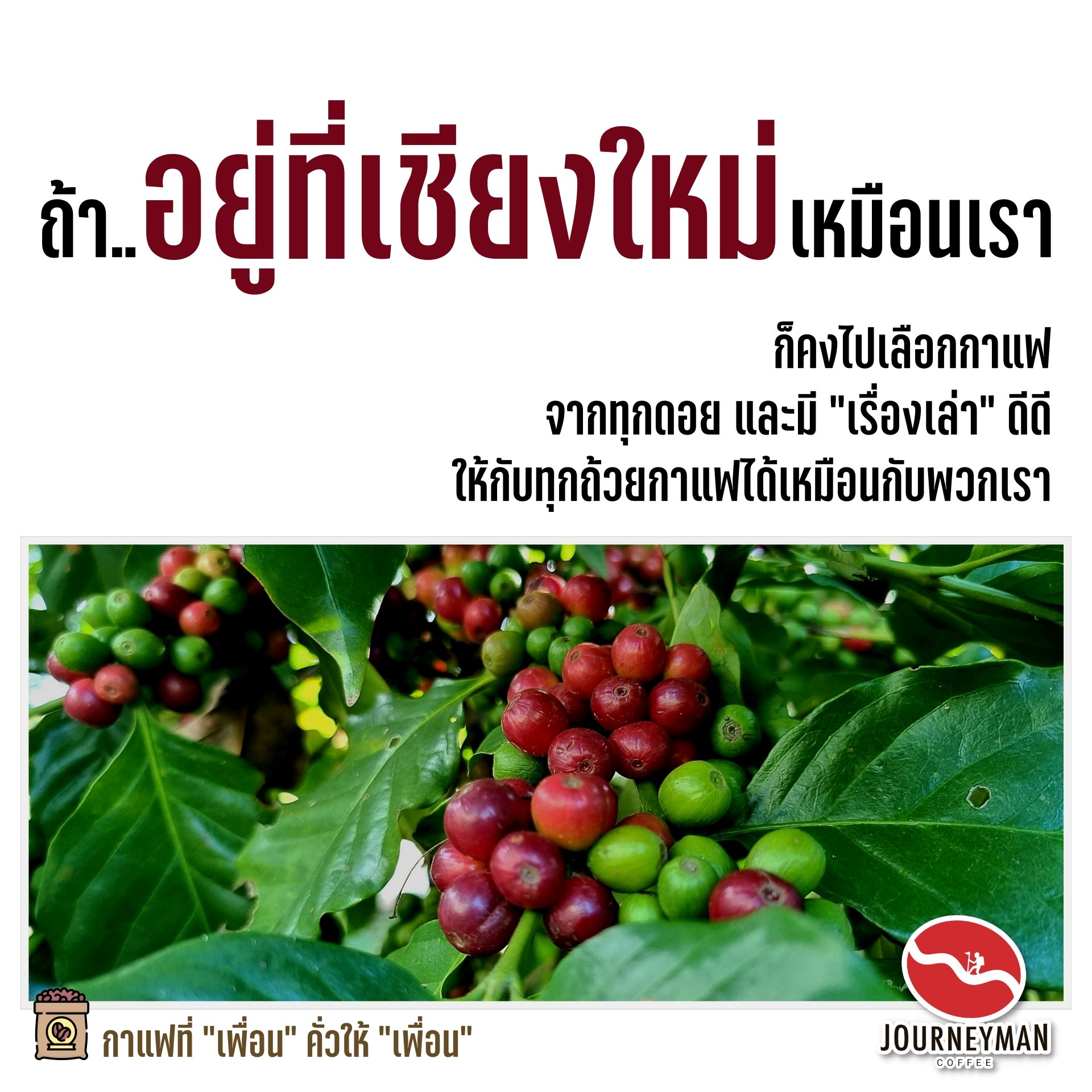 จำเป็นมั้ย..ที่ต้องมีเรื่องเล่า..เรื่องราว.. ของกาแฟ ?