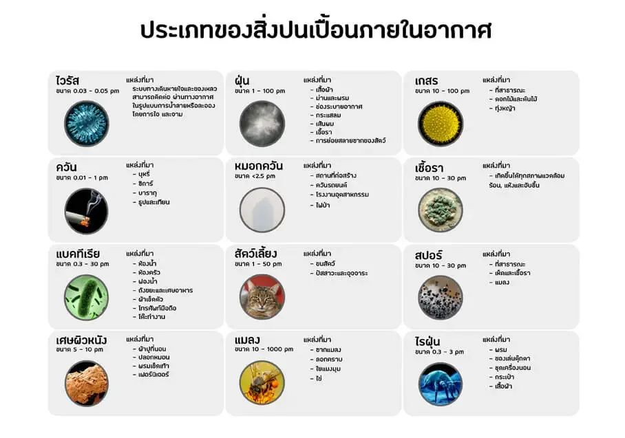 เครื่องฟอกอากาศ