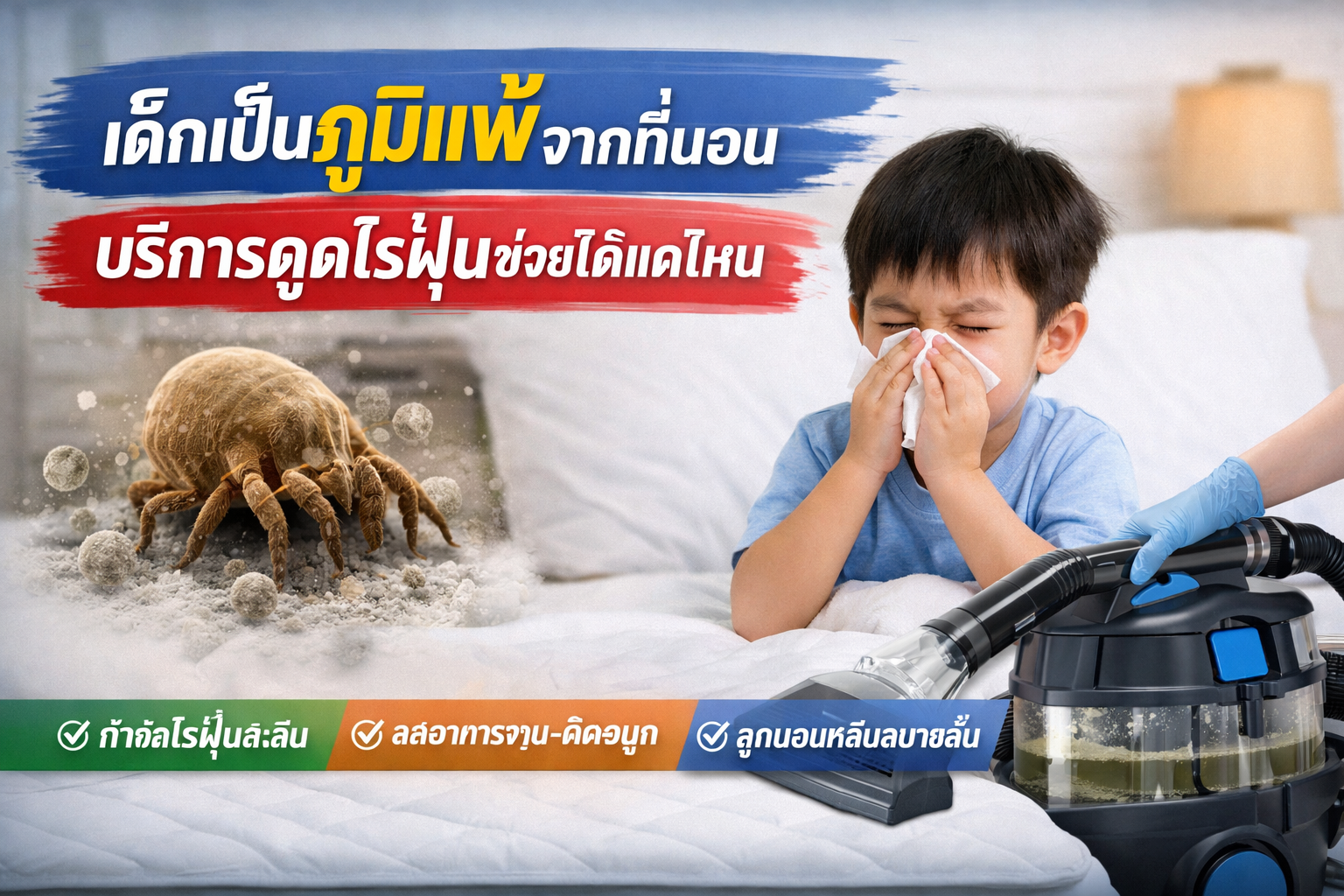 บริการดูดไรฝุ่น