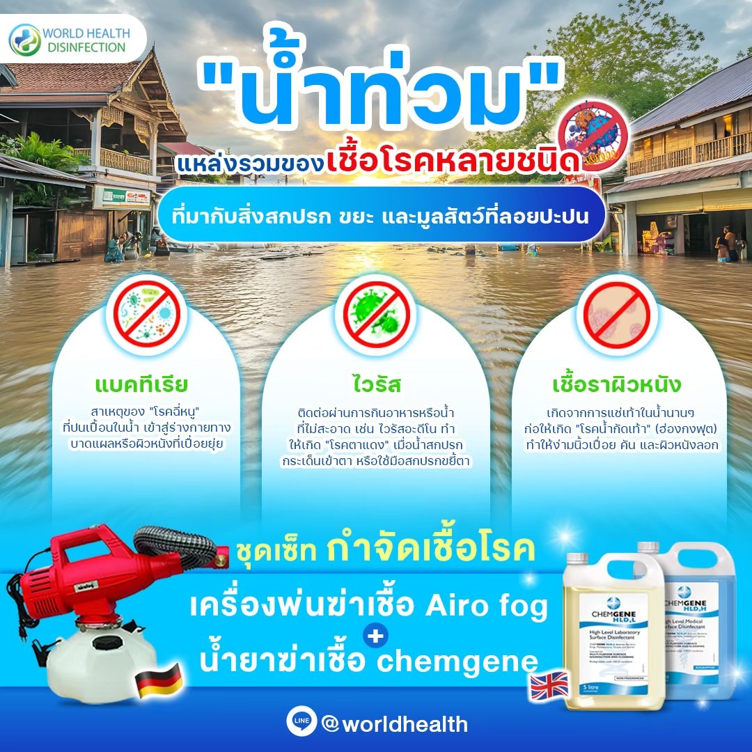 เชื้อรา เชื้อโรค แบคทีเรีย อันตรายต่อสุขภาพ 2026 บริการพ่นฆ่าเชื้อ World Health Disinfection