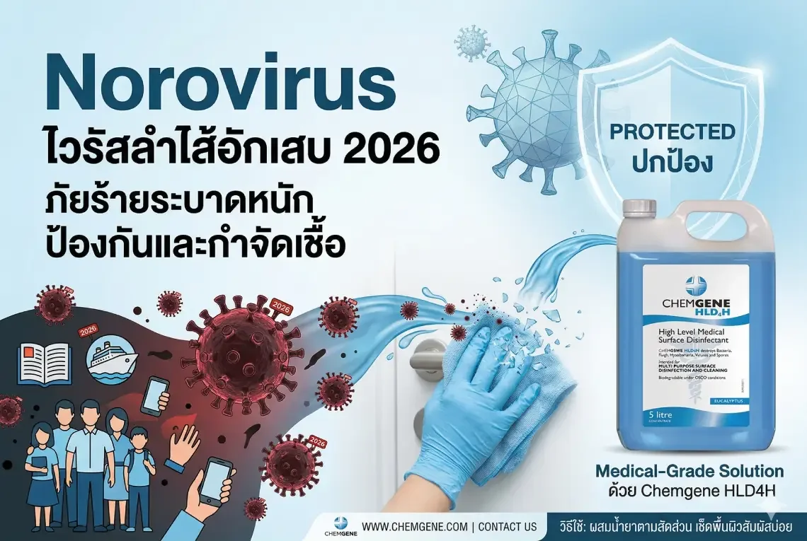 Norovirus ไวรัสลำไส้อักเสบ 2026