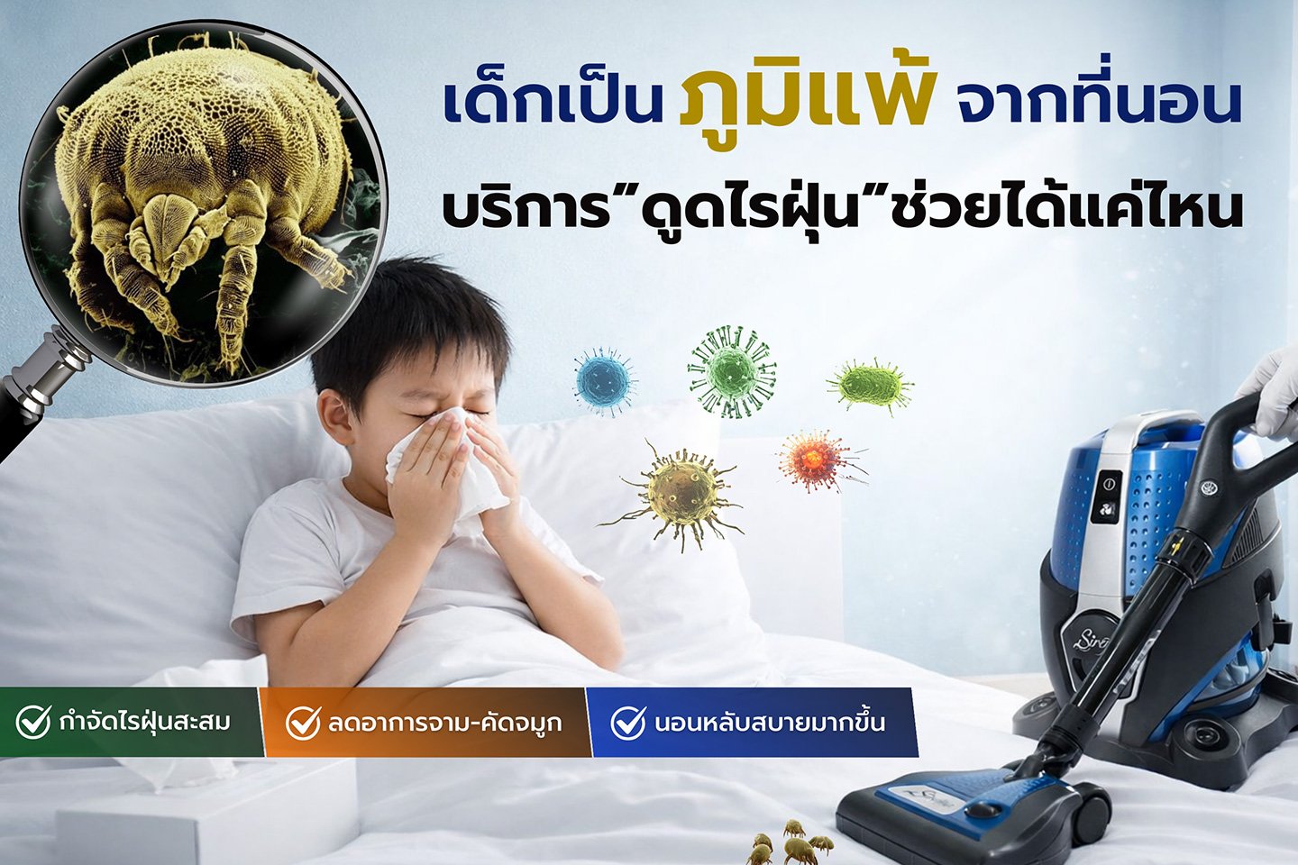 บริการดูดไรฝุ่น