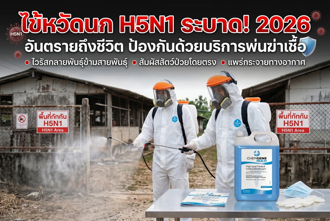ไข้หวัดนก H5N1