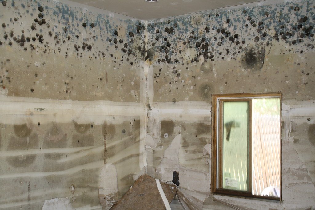 The 10 Hidden Mold Spots Homeowners Miss After Floodwater Recedes: A Practical Checklist and How Disinfection Fogging and Ozone Treatment Clear Them, for Homes in Prawet, Bangkok (2026)