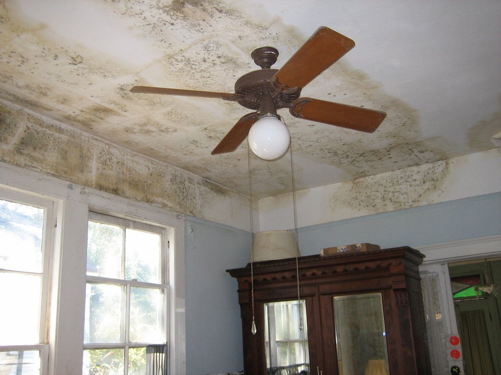Mold in Air Conditioners and Ducts After the Flood: Why Your AC Smells Musty, and How a Technician's Clean, Disinfection Fogging and Ozone Treatment Restore Homes and Shops in Nong Chok, Bangkok, 2026