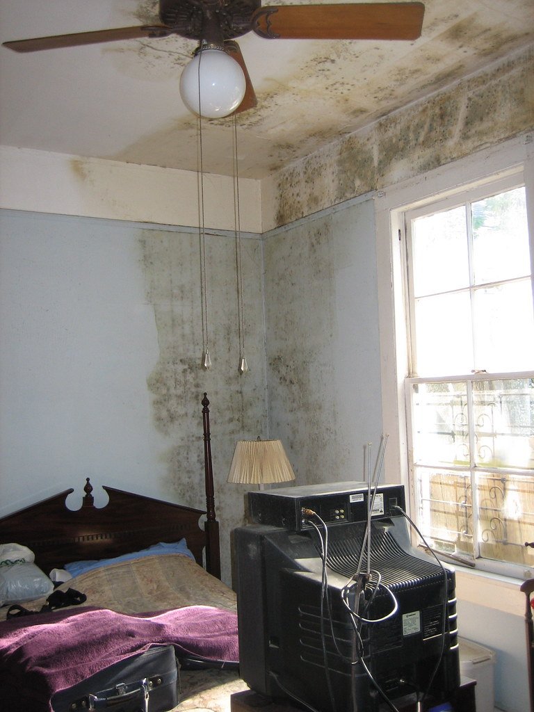 Moldy Wardrobe After the Flood: Rescuing Clothes, Shoes and Leather Bags and Removing the Musty Smell with Ozone Treatment and Disinfection in Lat Krabang, Bangkok (2026)