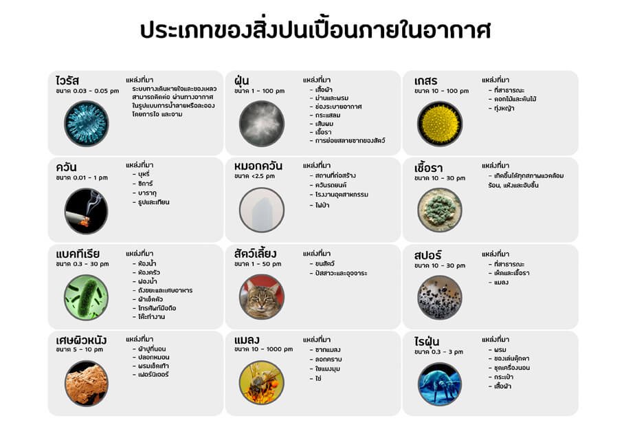 หมอกควันไฟป่าเชียงราย ทั้งหมู่บ้านหายใจไม่ออก - AP-907 คือทางรอดของชาวเหนือ