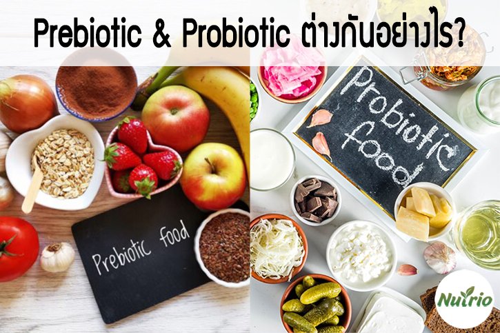 Prebiotic & Probiotic