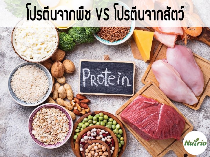 โปรตีนจากพืช vs โปรตีนจากสัตว์