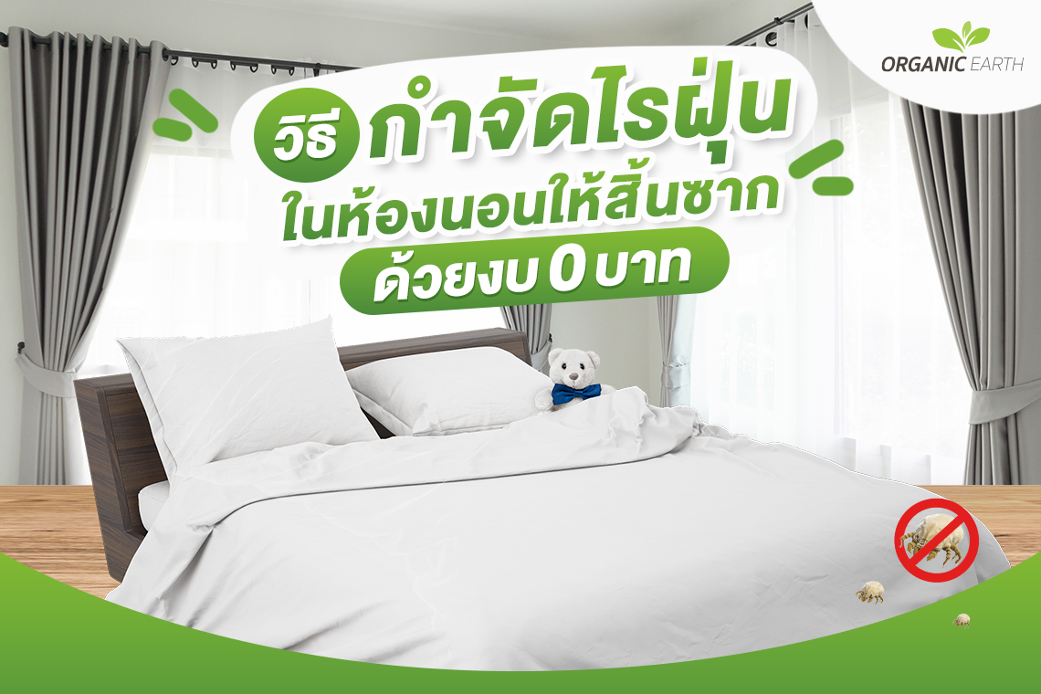 How to get rid of dust mites in the bedroom with a budget of 0 baht