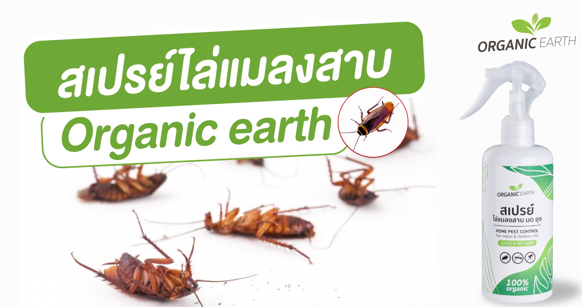 Organic earth cockroach repellent spray