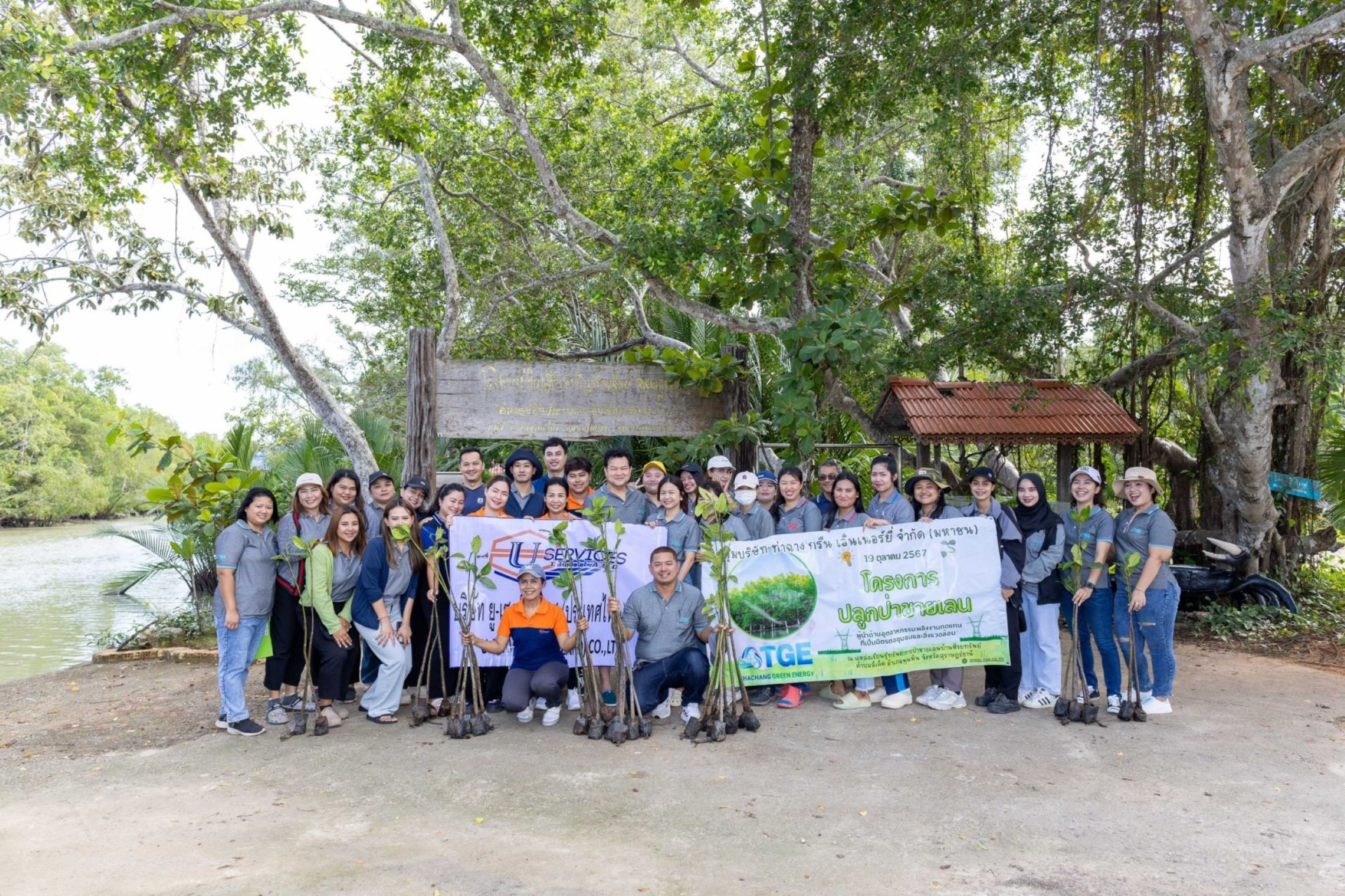 TGE ร่วมฟื้นฟูธรรมชาติ อนุรักษ์ป่าชายเลน