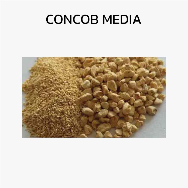 CONCOB MEDIA