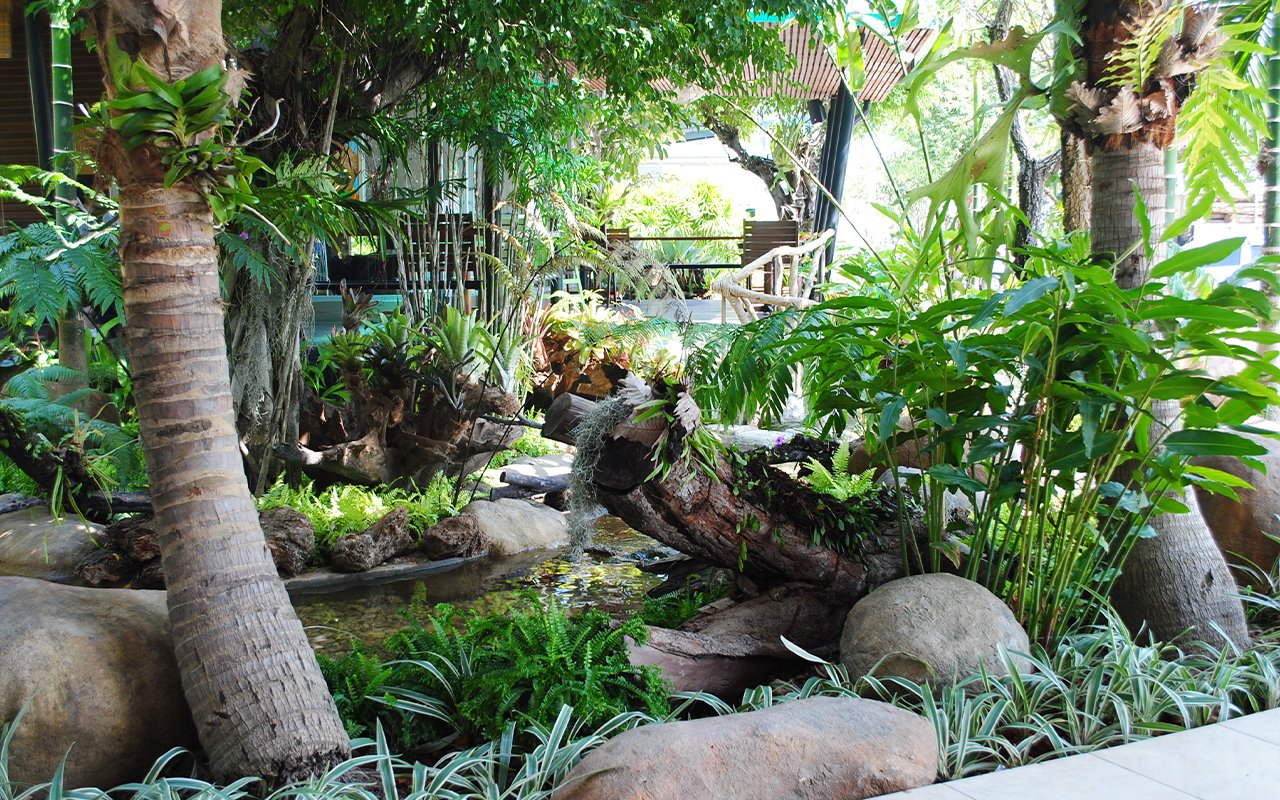 รับจัดสวน เชียงใหม่ พัทยา ชลบุรี จัดสวน น้ำตก Cafe Amazon landscape design