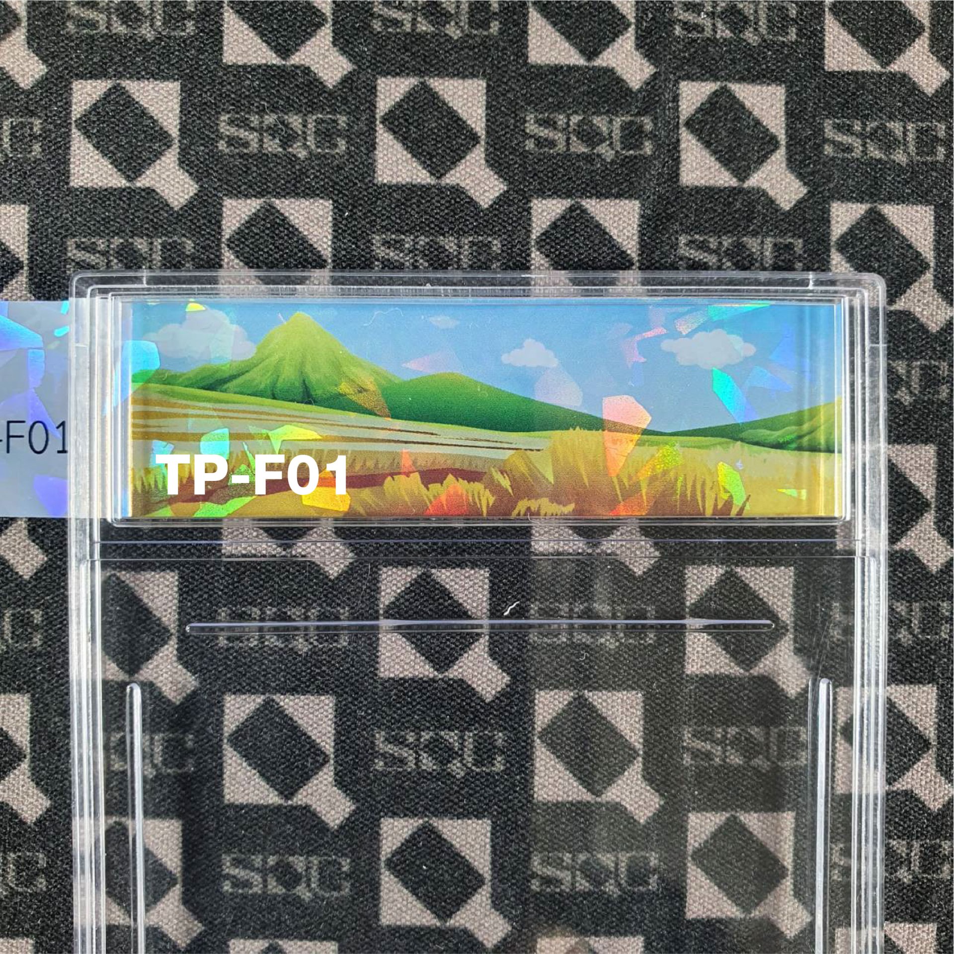 TP-F01