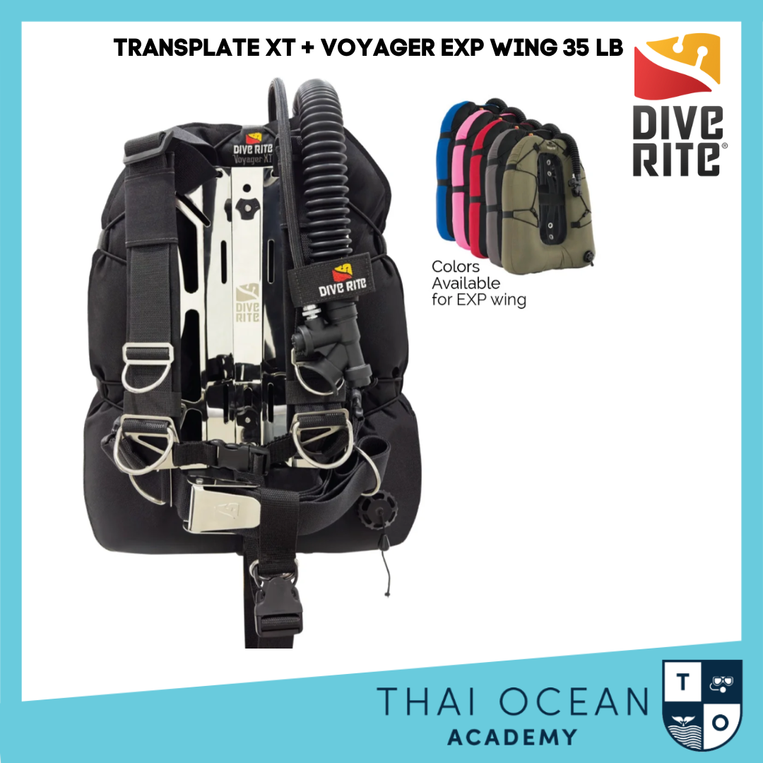 Dive Rite TRANSPLATE XT with VOYAGER EXP WING (35 LB) - Thai Ocean Academy