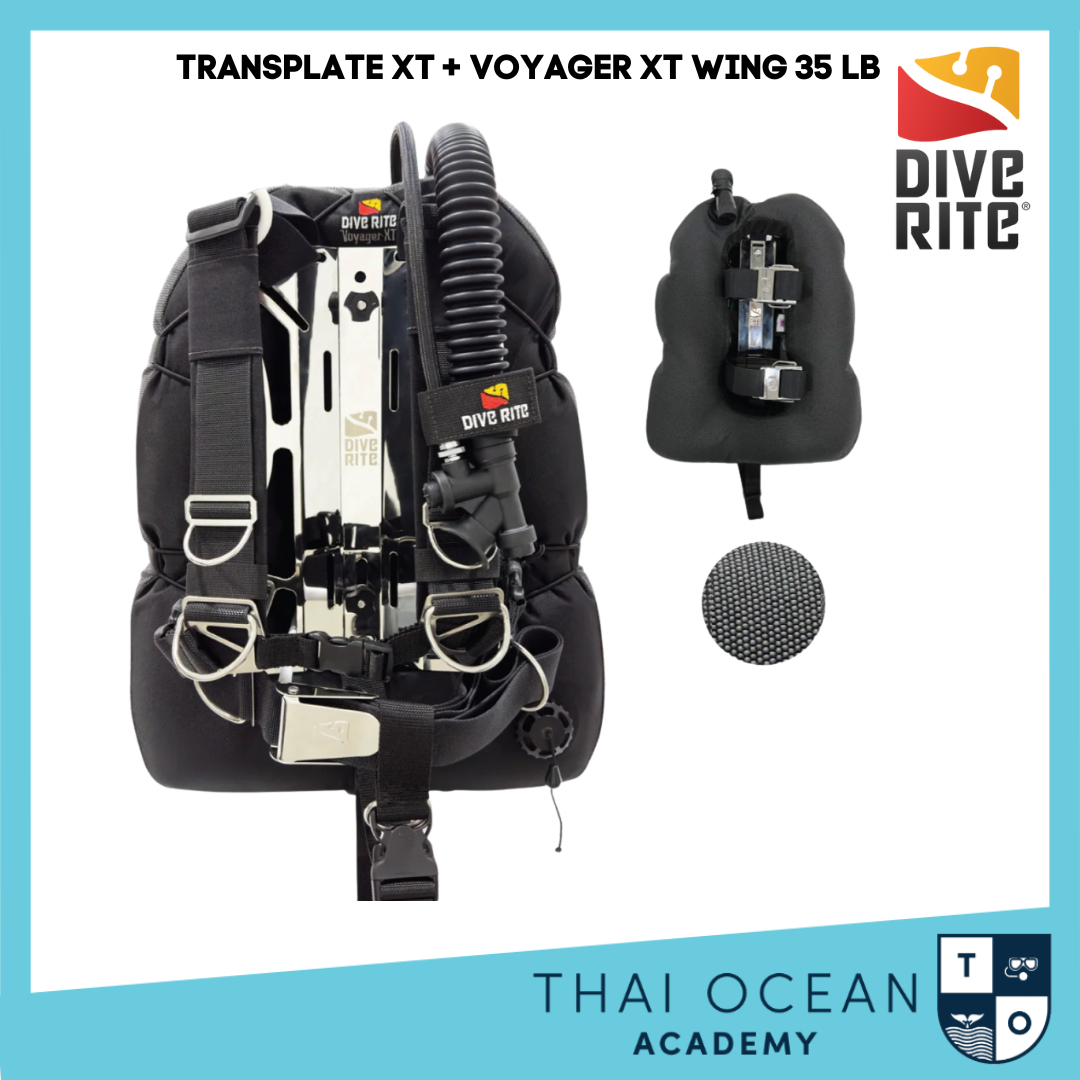 Dive Rite TRANSPLATE XT with VOYAGER XT WING (35 LB) - Thai Ocean Academy -  thaioceanacademy