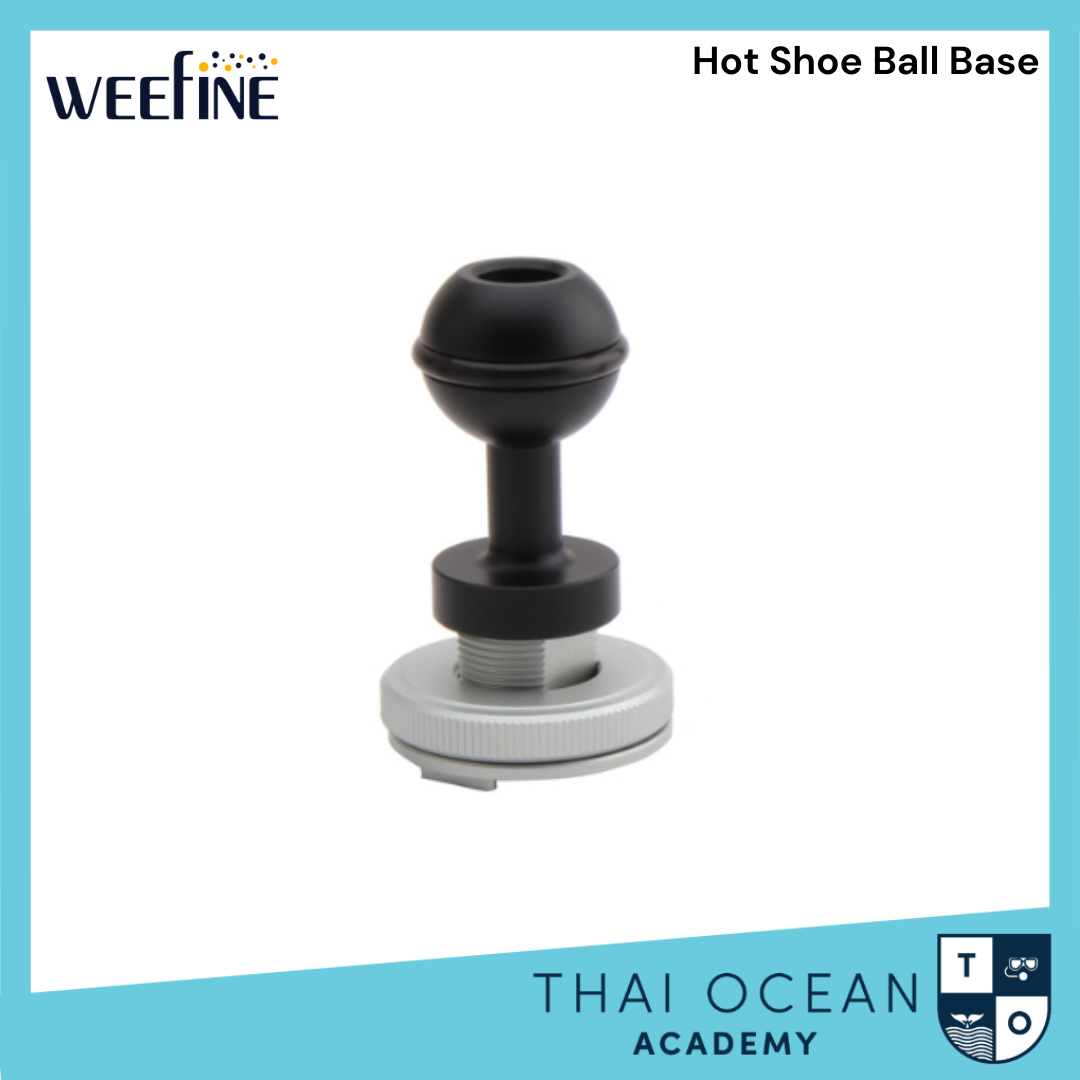 Weefine WFA53 Hot Shoe YS Base