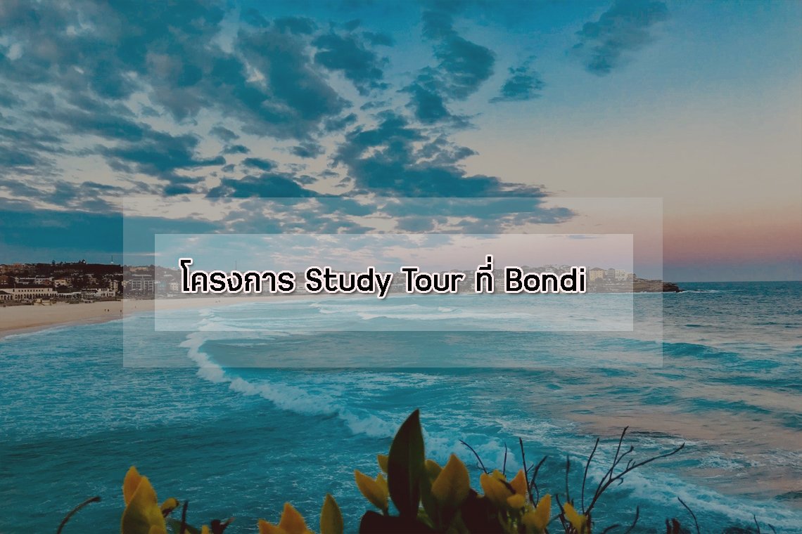 โครงการ Study Tour ที่ Bondi โครงการ Study Tour ที่ Bondi