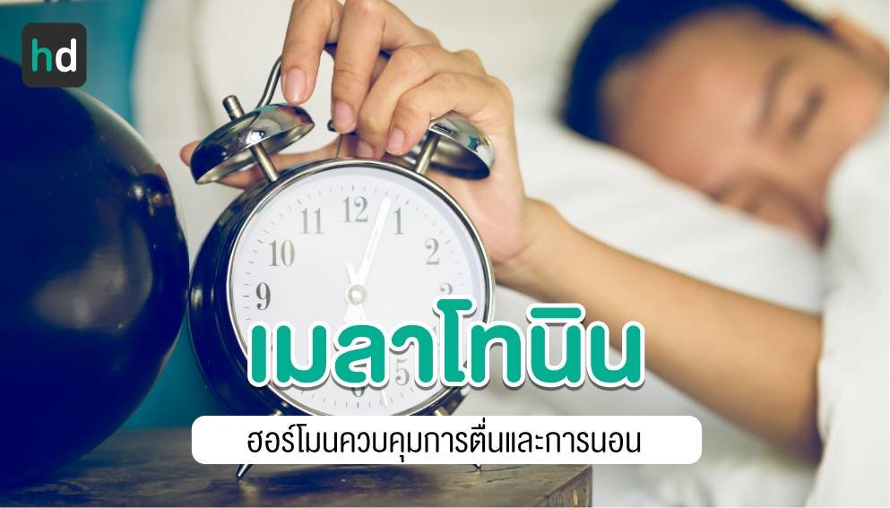 เมลาโทนิน...ทางเลือกหนึ่งของคนนอนไม่หลับ เมลาโทนิน...ทางเลือกหนึ่งของคนนอนไม่หลับ