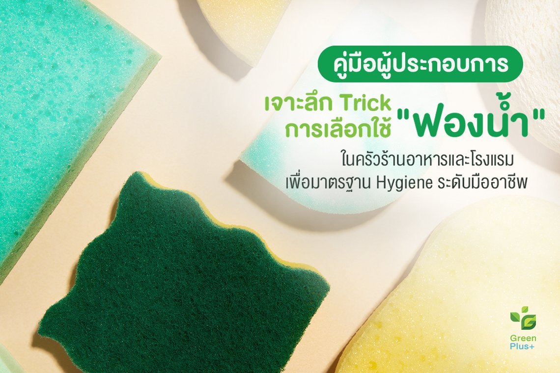คู่มือผู้ประกอบการ : เจาะลึก Trick การเลือกใช้ "ฟองน้ำ" ในครัวร้านอาหารและโรงแรม เพื่อมาตรฐาน Hygiene ระดับมืออาชีพ