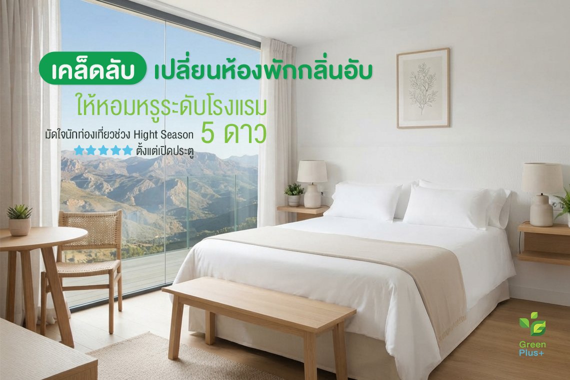 วิธีแก้ห้องพักมีกลิ่นอับชื้นทำอย่างไรดี_น้ำยากรีนพลัส