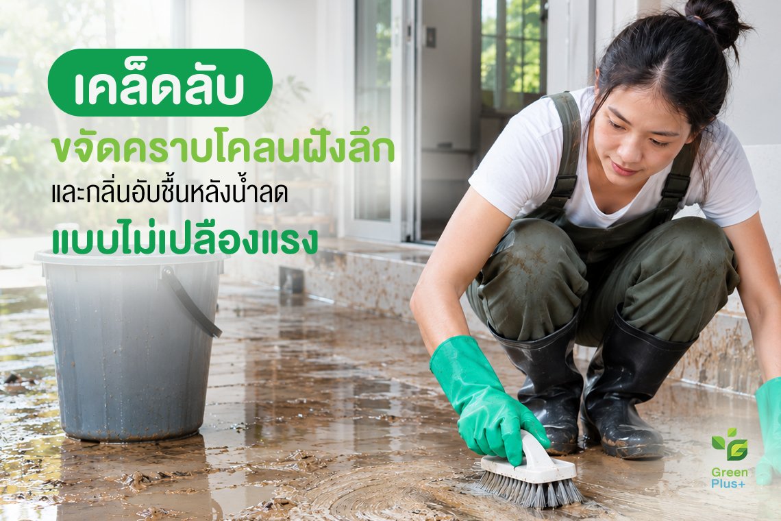 เคล็ดลับขจัดคราบโคลนฝังลึกและกลิ่นอับชื้นหลังน้ำลด แบบไม่เปลืองแรง