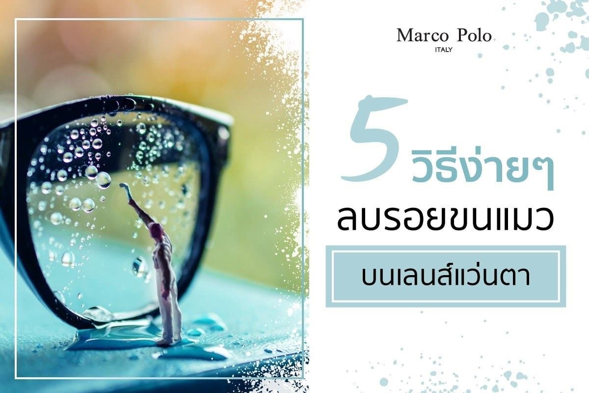 5 วิธีง่ายๆ ลบรอยขนแมวบนเลนส์แว่นตา 5 วิธีง่ายๆ ลบรอยขนแมวบนเลนส์แว่นตา