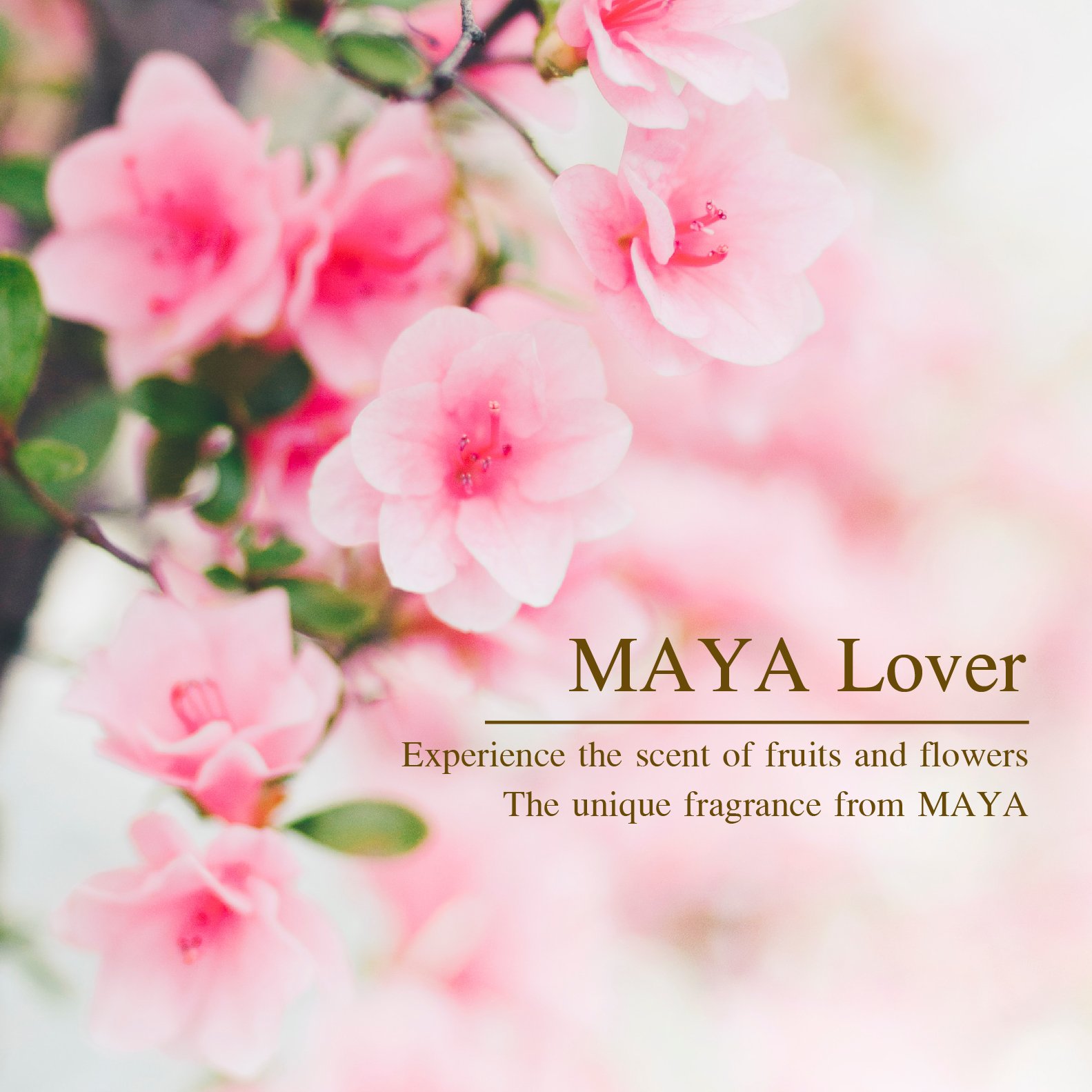 Reed Diffuser "MAYA Lover" Experience the scent of fruits and flowers the unique fragrance from MAYA
