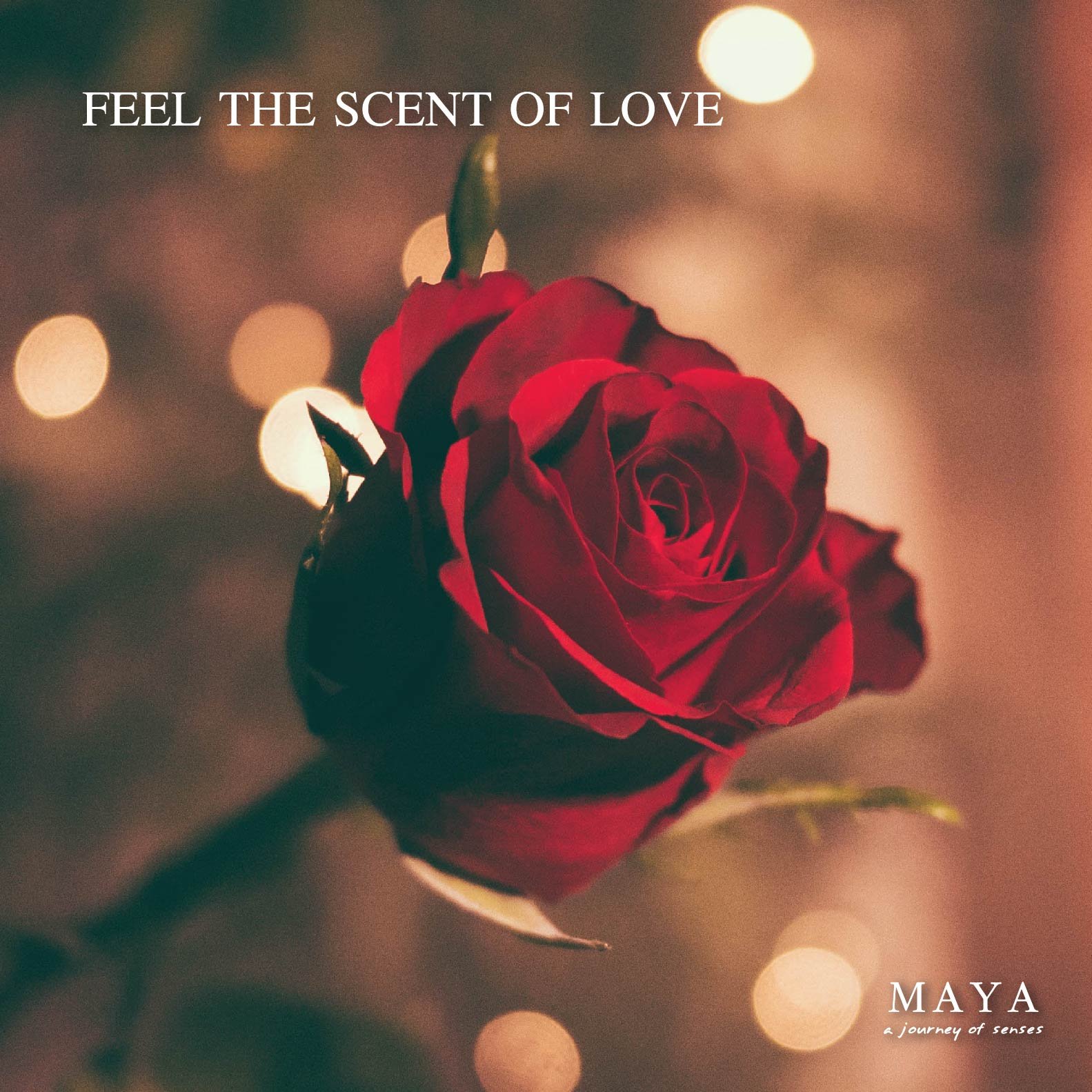 Feel the scent of love "Rose Romance" Feel the scent of love "Rose Romance"